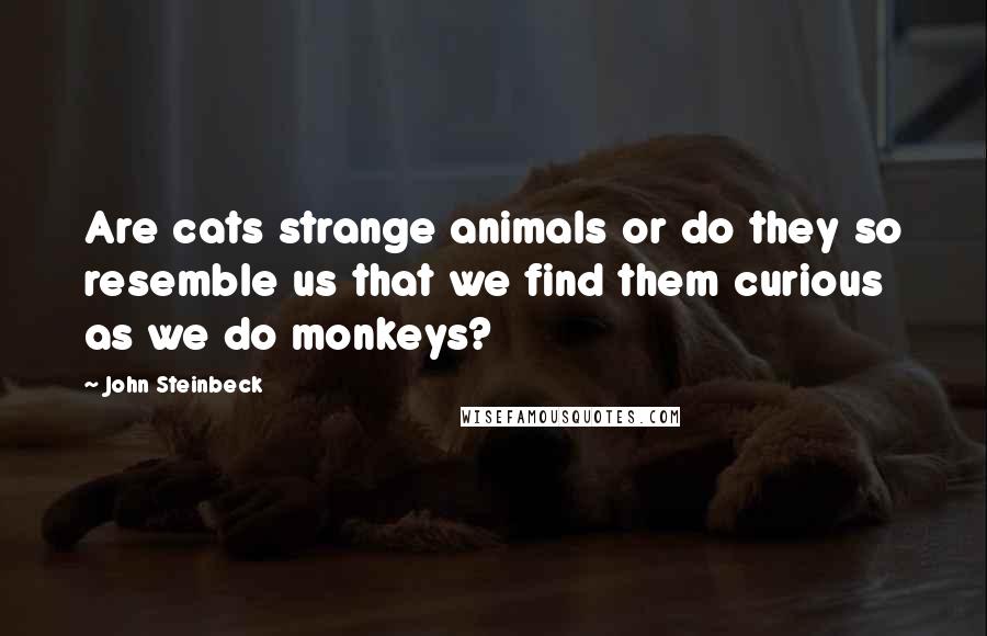 John Steinbeck quotes: Are cats strange animals or do they so resemble us that we find them curious as we do monkeys?