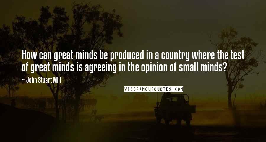 John Stuart Mill quotes: How can great minds be produced in a country where the test of great minds is agreeing in the opinion of small minds?