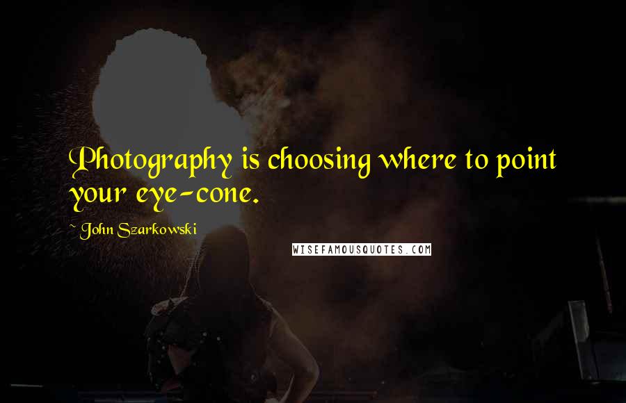 John Szarkowski quotes: Photography is choosing where to point your eye-cone.