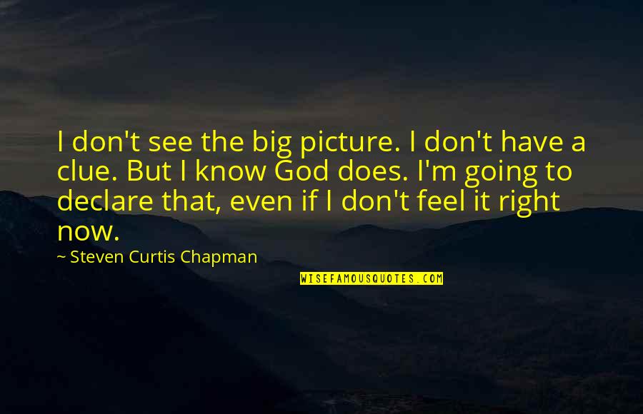 John Thompson Quotes By Steven Curtis Chapman: I don't see the big picture. I don't John Thompson Quotes By Steven Curtis Chapman: I don't see the big picture. I don't