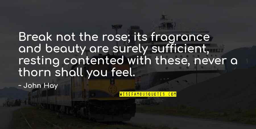 John Thorn Quotes By John Hay: Break not the rose; its fragrance and beauty John Thorn Quotes By John Hay: Break not the rose; its fragrance and beauty