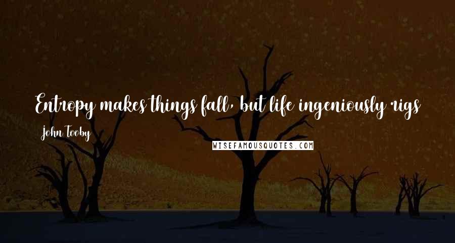 John Tooby quotes: Entropy makes things fall, but life ingeniously rigs the game so that when they do they often fall into place.