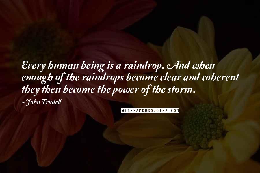 John Trudell quotes: Every human being is a raindrop. And when enough of the raindrops become clear and coherent they then become the power of the storm.