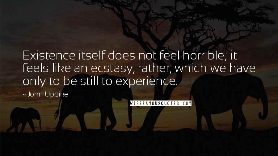John Updike quotes: Existence itself does not feel horrible; it feels like an ecstasy, rather, which we have only to be still to experience. John Updike quotes: Existence itself does not feel horrible; it feels like an ecstasy, rather, which we have only to be still to experience.