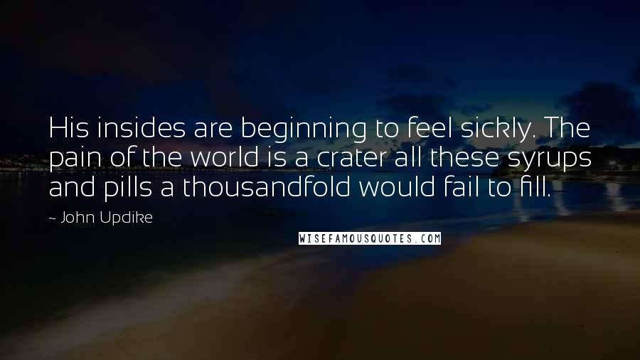 John Updike quotes: His insides are beginning to feel sickly. The pain of the world is a crater all these syrups and pills a thousandfold would fail to fill. John Updike quotes: His insides are beginning to feel sickly. The pain of the world is a crater all these syrups and pills a thousandfold would fail to fill.