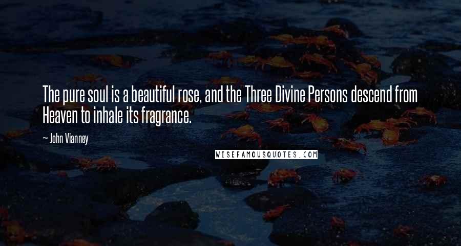 John Vianney quotes: The pure soul is a beautiful rose, and the Three Divine Persons descend from Heaven to inhale its fragrance.