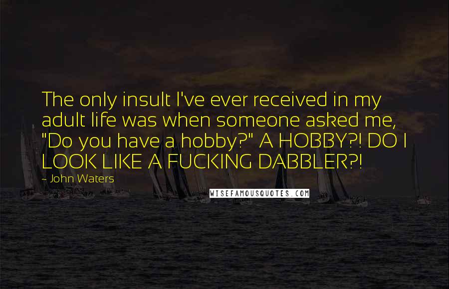 John Waters quotes: The only insult I've ever received in my adult life was when someone asked me, "Do you have a hobby?" A HOBBY?! DO I LOOK LIKE A FUCKING DABBLER?!