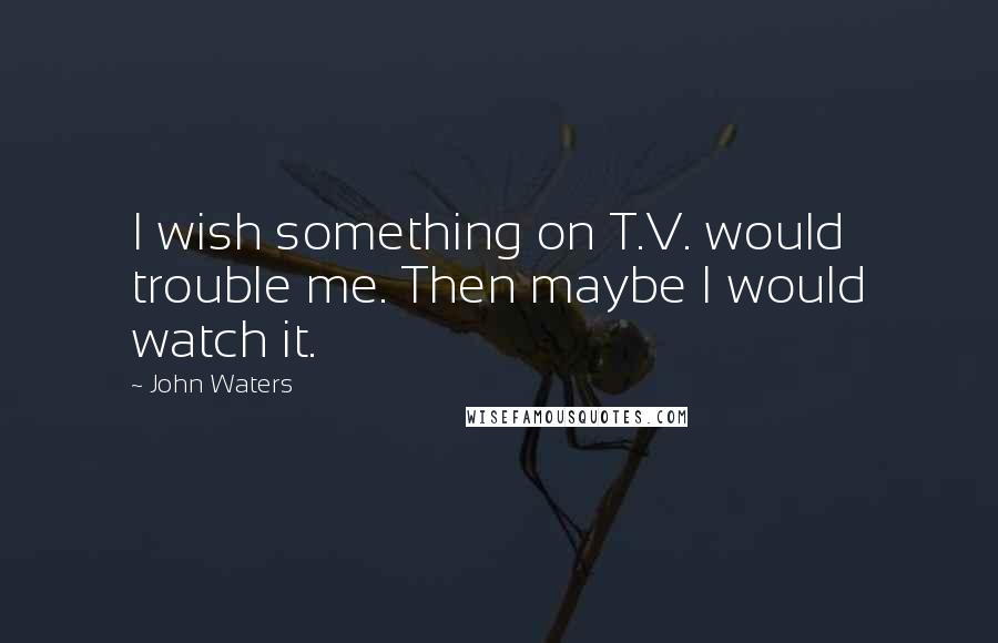 John Waters quotes: I wish something on T.V. would trouble me. Then maybe I would watch it.