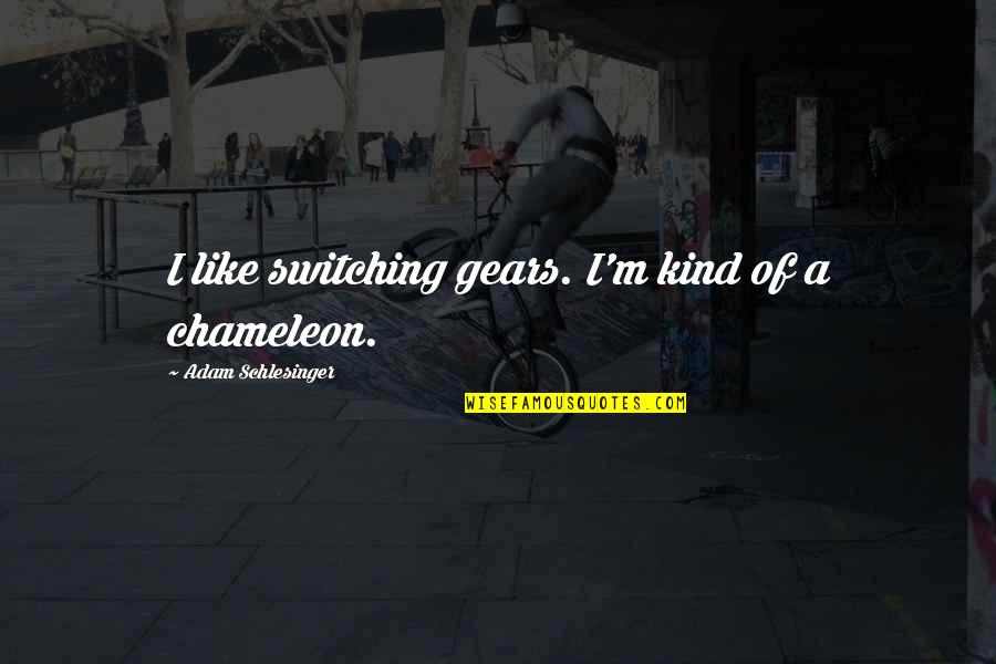 John Watson Reichenbach Quotes By Adam Schlesinger: I like switching gears. I'm kind of a