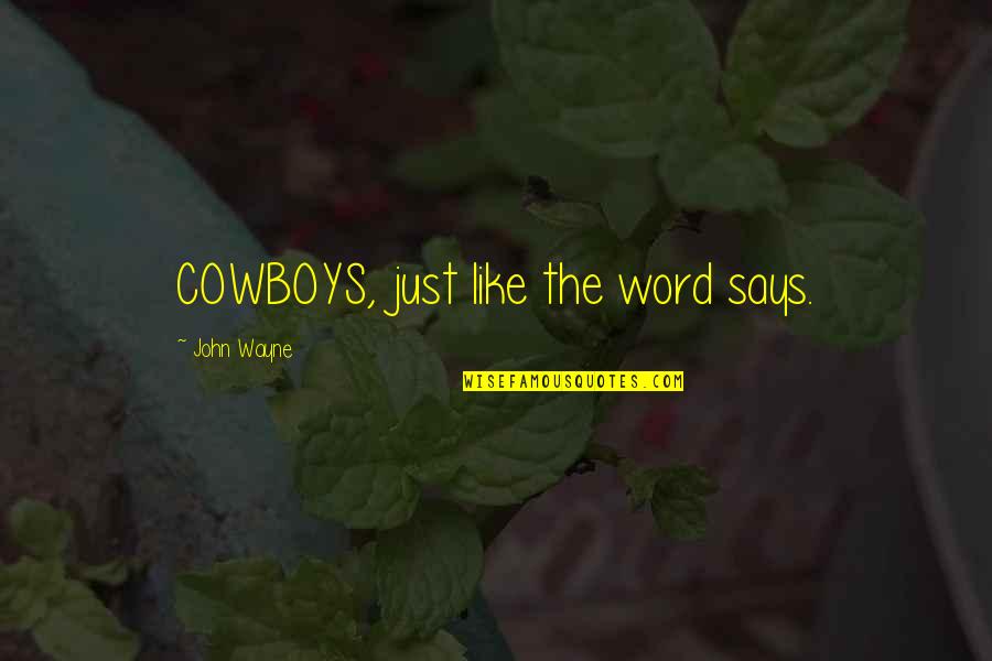 John Wayne The Cowboys Quotes By John Wayne: COWBOYS, just like the word says.