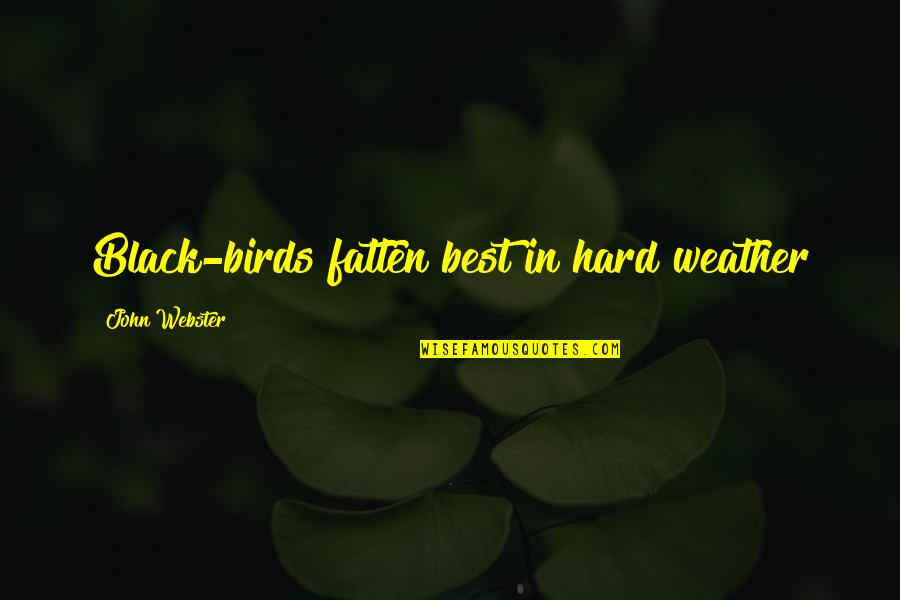 John Webster Quotes By John Webster: Black-birds fatten best in hard weather John Webster Quotes By John Webster: Black-birds fatten best in hard weather
