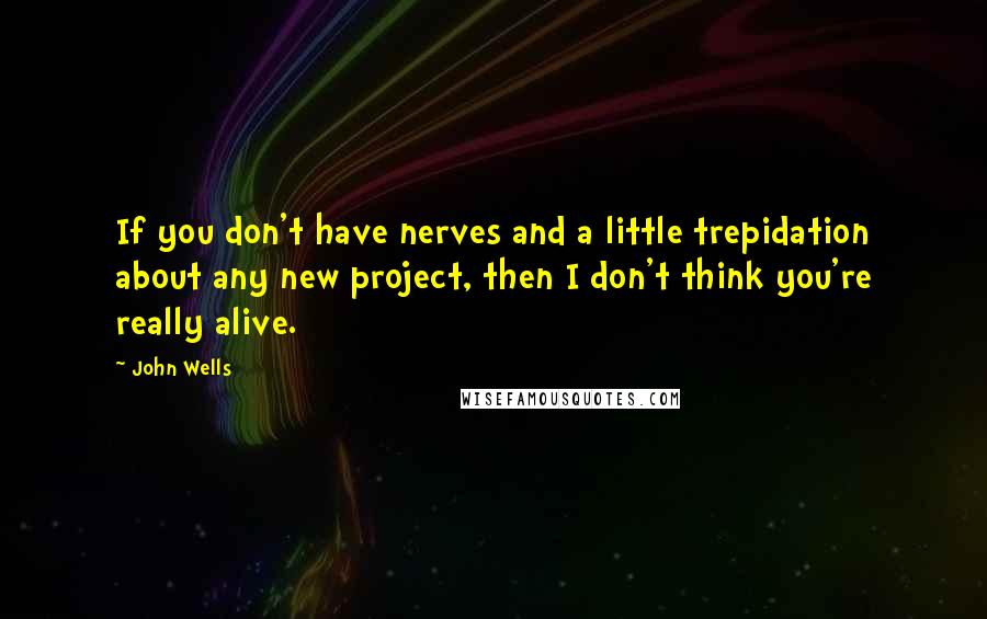 John Wells quotes: If you don't have nerves and a little trepidation about any new project, then I don't think you're really alive.