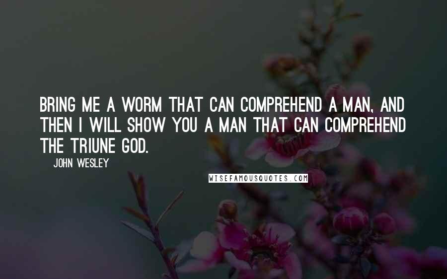 John Wesley quotes: Bring me a worm that can comprehend a man, and then I will show you a man that can comprehend the Triune God. John Wesley quotes: Bring me a worm that can comprehend a man, and then I will show you a man that can comprehend the Triune God.