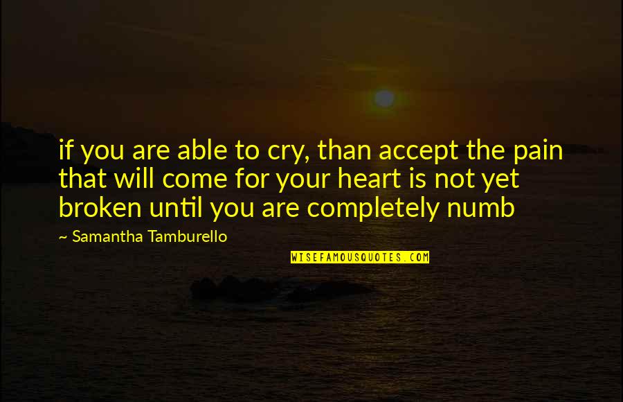 John Yossarian Quotes By Samantha Tamburello: if you are able to cry, than accept