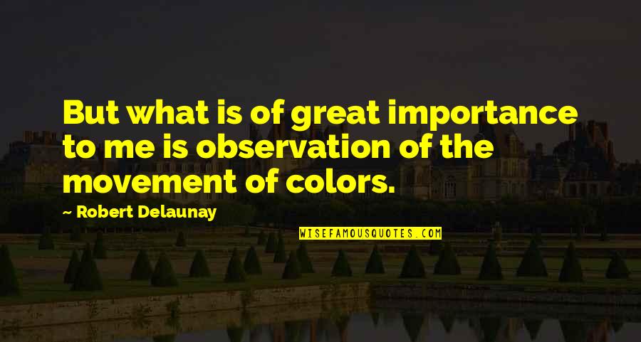 John Zaffis Quotes By Robert Delaunay: But what is of great importance to me
