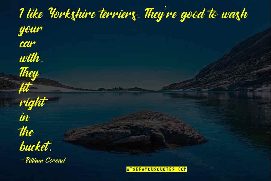 Johnakins Quotes By Billiam Coronel: I like Yorkshire terriers. They're good to wash