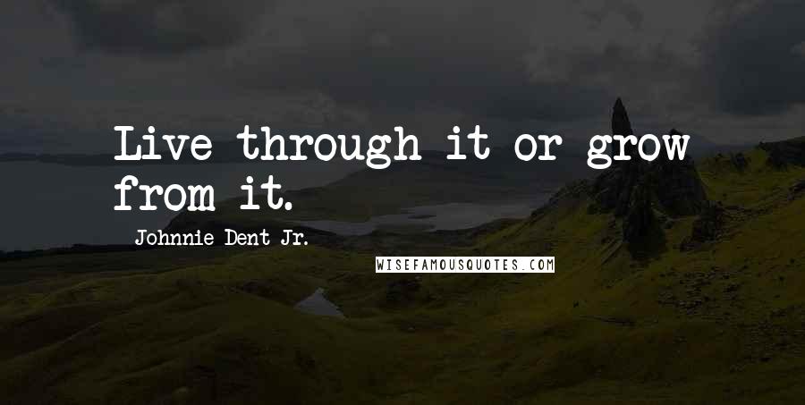 Johnnie Dent Jr. quotes: Live through it or grow from it.