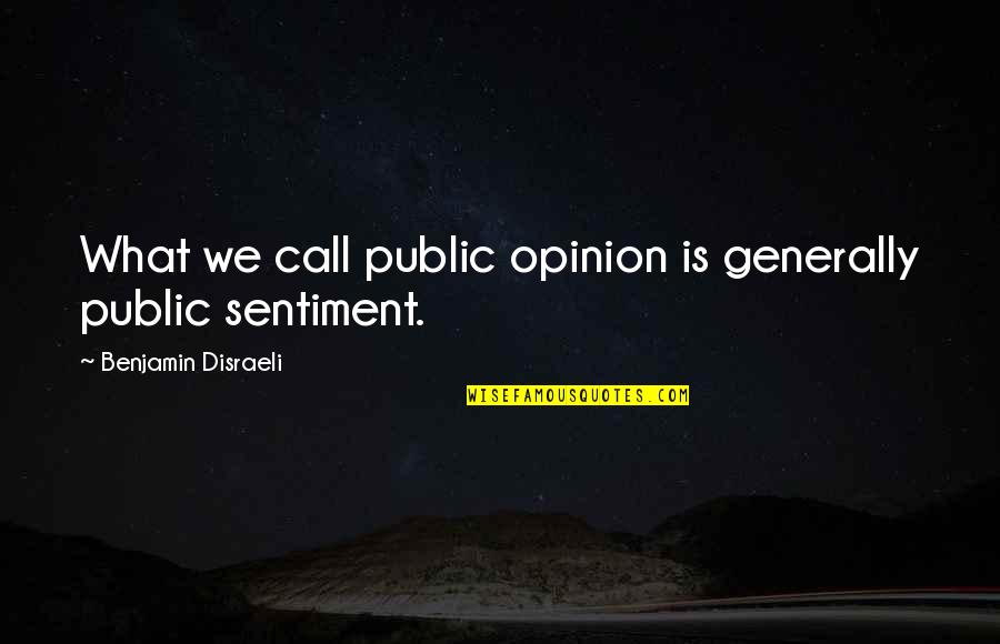 Johnnie Walker Blue Quotes By Benjamin Disraeli: What we call public opinion is generally public