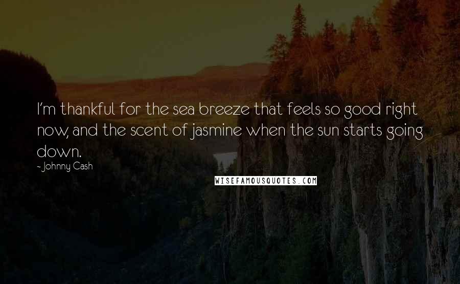 Johnny Cash quotes: I'm thankful for the sea breeze that feels so good right now, and the scent of jasmine when the sun starts going down. Johnny Cash quotes: I'm thankful for the sea breeze that feels so good right now, and the scent of jasmine when the sun starts going down.