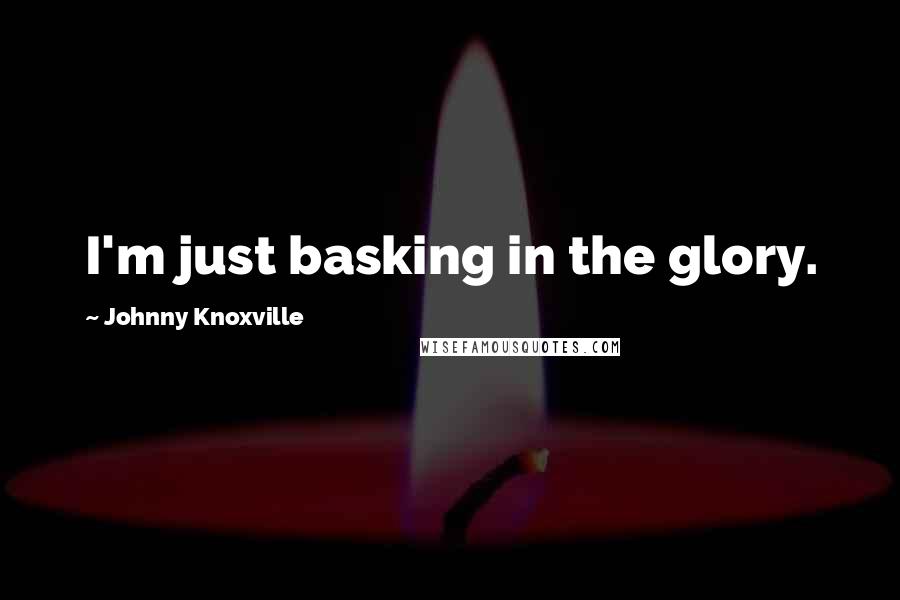 Johnny Knoxville quotes: I'm just basking in the glory.