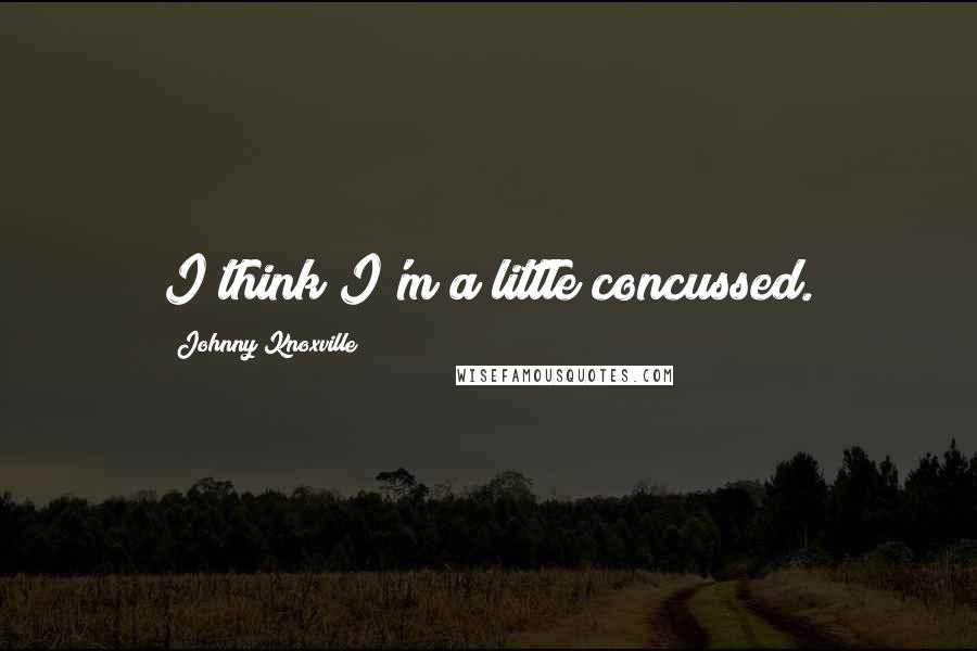 Johnny Knoxville quotes: I think I'm a little concussed.