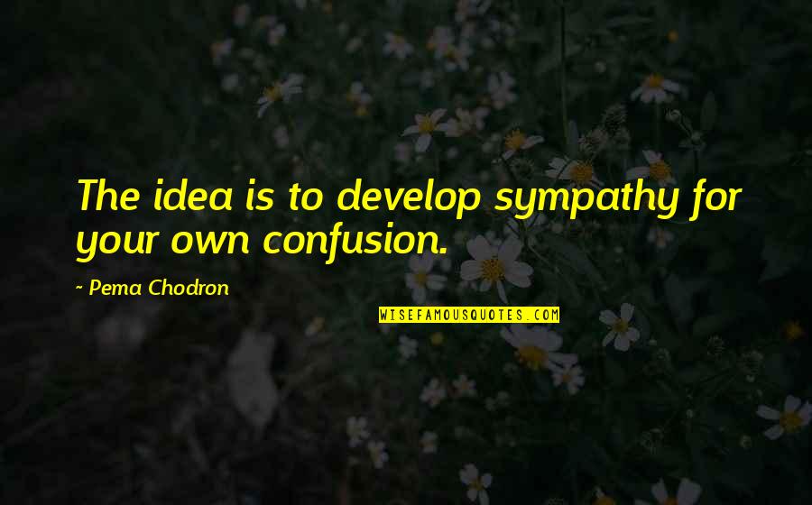 Johnny Moxon Quotes By Pema Chodron: The idea is to develop sympathy for your
