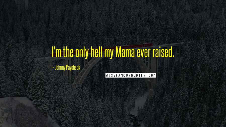 Johnny Paycheck quotes: I'm the only hell my Mama ever raised.