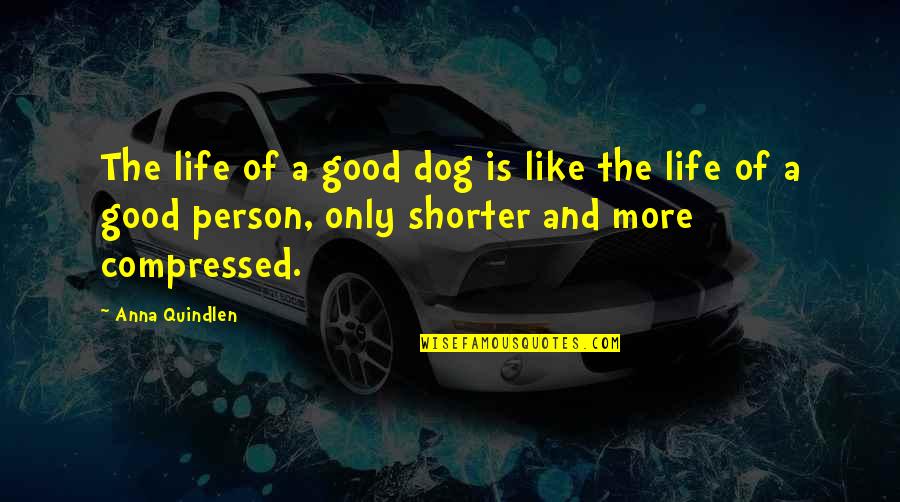 Johnny Podres Quotes By Anna Quindlen: The life of a good dog is like