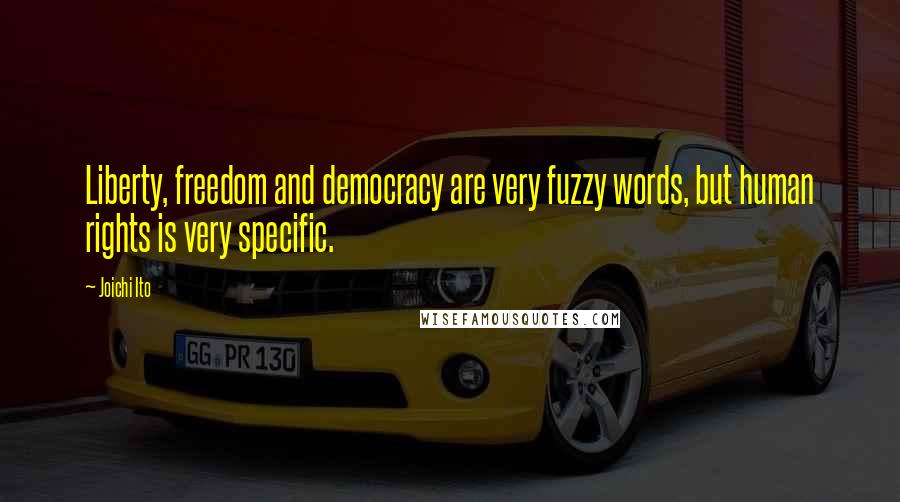 Joichi Ito quotes: Liberty, freedom and democracy are very fuzzy words, but human rights is very specific.