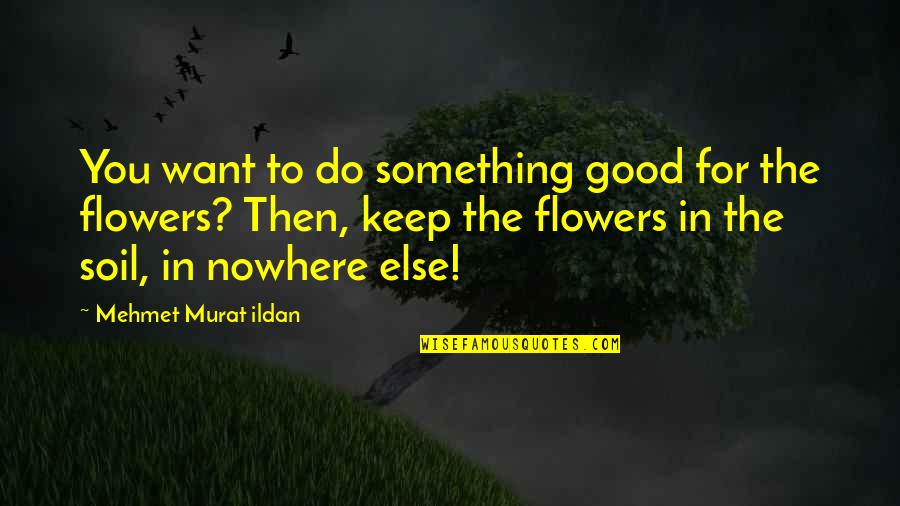 Joinder Of Claims Quotes By Mehmet Murat Ildan: You want to do something good for the