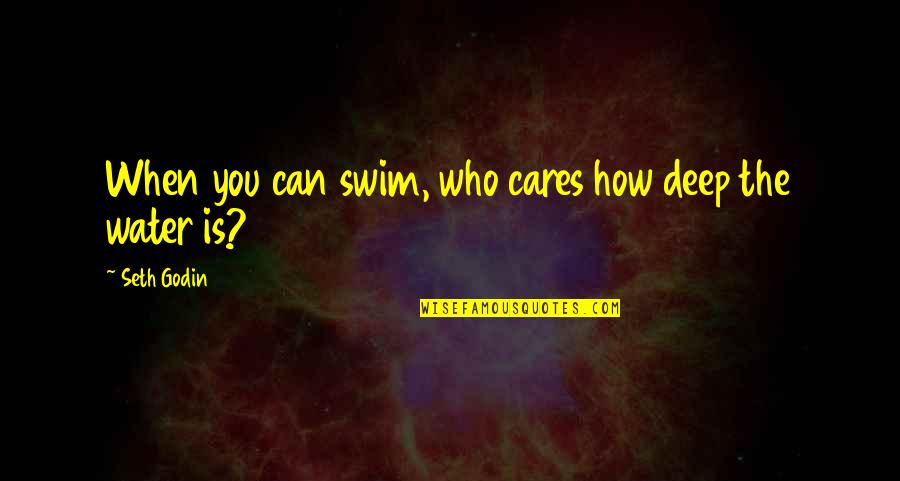 Joint Custody Quotes By Seth Godin: When you can swim, who cares how deep