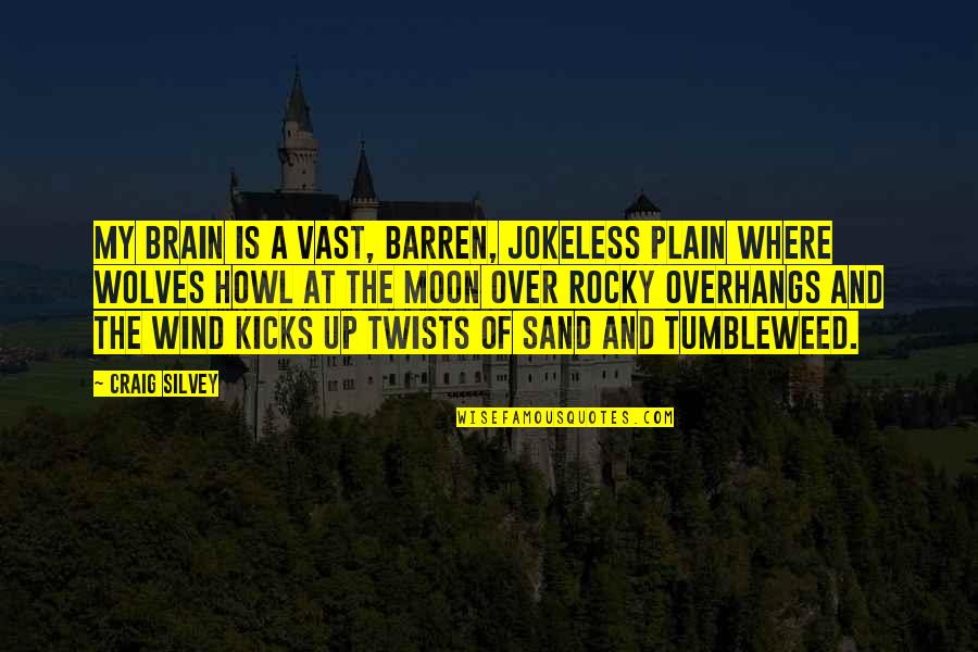 Jokeless Quotes By Craig Silvey: My brain is a vast, barren, jokeless plain