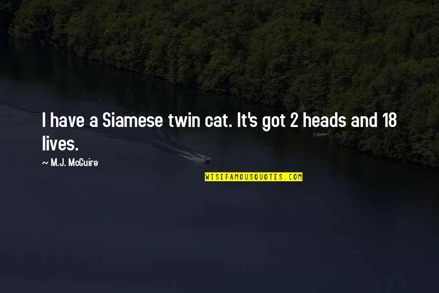 Jokes And Funny Quotes By M.J. McGuire: I have a Siamese twin cat. It's got