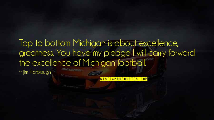 Jokes Funny Money Quotes By Jim Harbaugh: Top to bottom Michigan is about excellence, greatness.