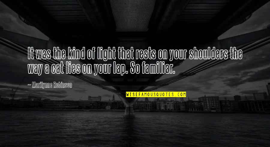 Jokes That Hurt People's Feelings Quotes By Marilynne Robinson: It was the kind of light that rests