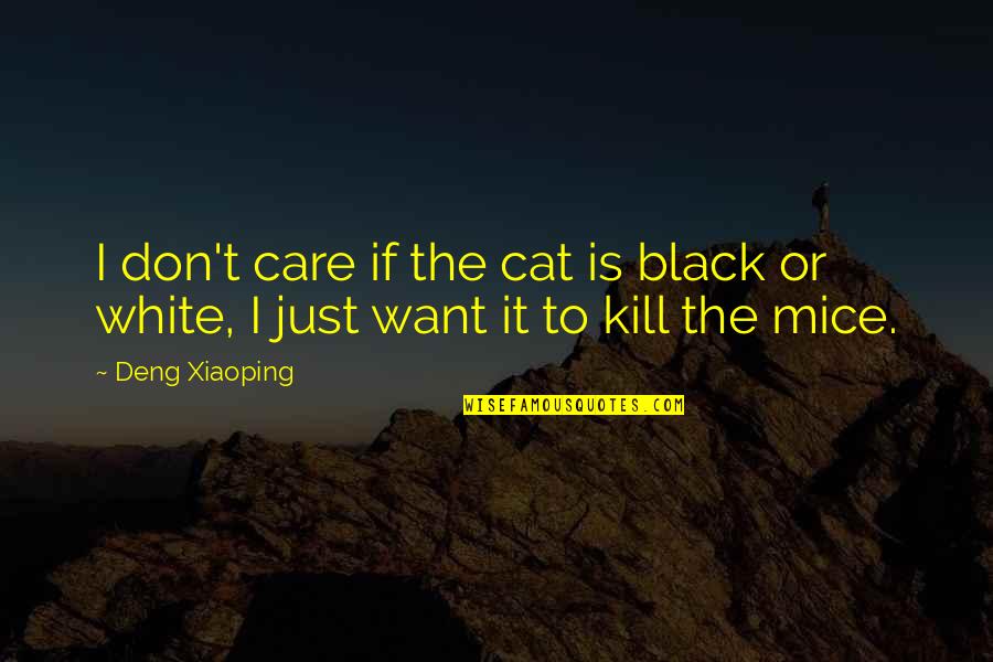 Joley Mastanduno Quotes By Deng Xiaoping: I don't care if the cat is black