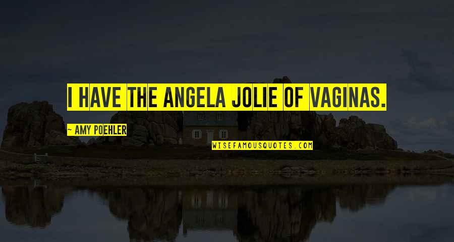 Jolie's Quotes By Amy Poehler: I have the Angela Jolie of vaginas.