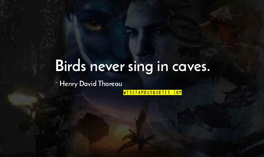 Jolson Sings Quotes By Henry David Thoreau: Birds never sing in caves.