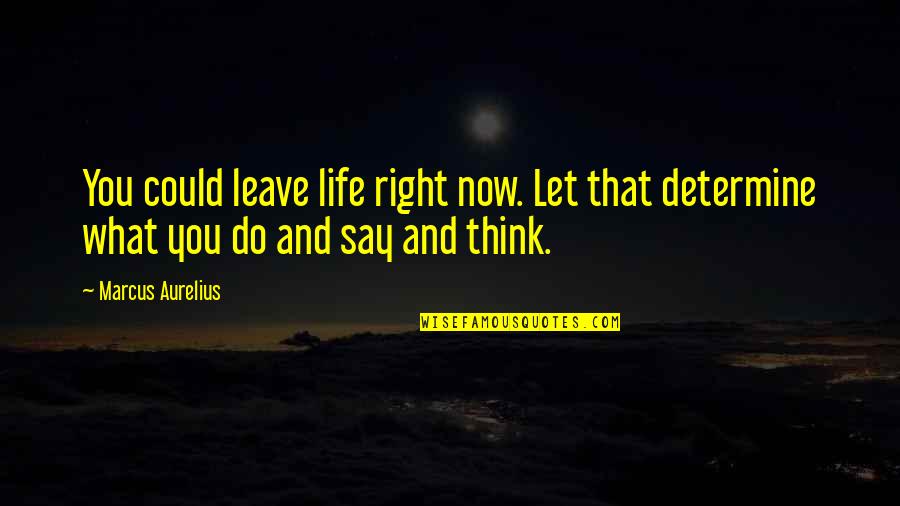 Jolynda Maynard Quotes By Marcus Aurelius: You could leave life right now. Let that