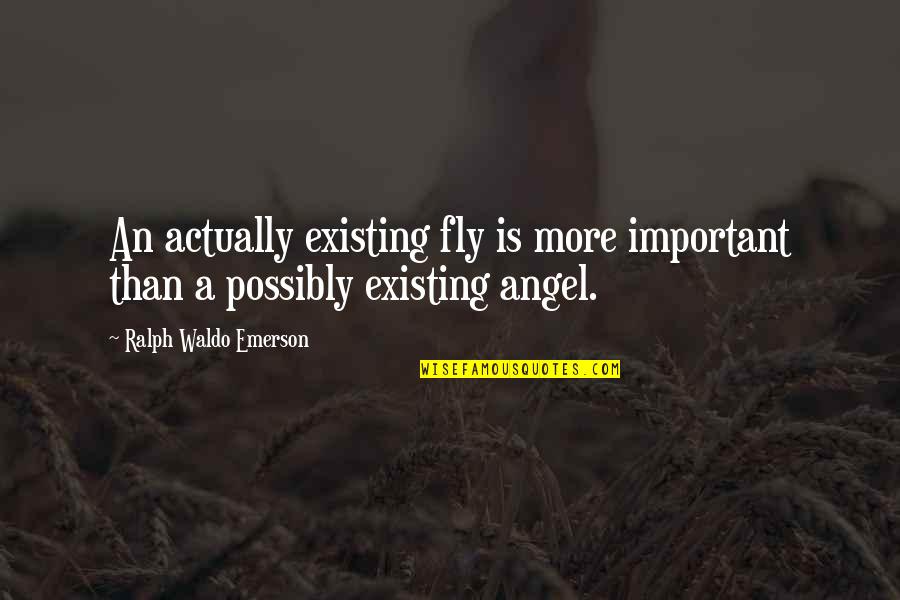 Jon Gaunt Quotes By Ralph Waldo Emerson: An actually existing fly is more important than