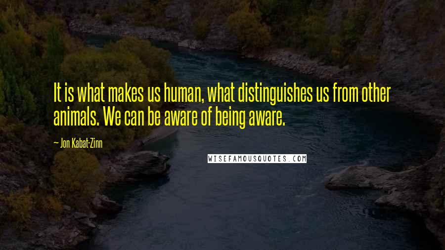 Jon Kabat-Zinn quotes: It is what makes us human, what distinguishes us from other animals. We can be aware of being aware.