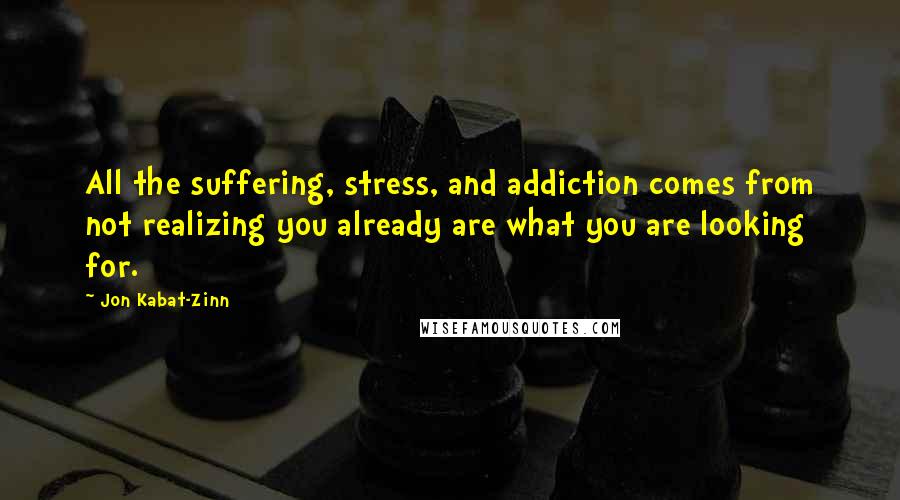 Jon Kabat-Zinn quotes: All the suffering, stress, and addiction comes from not realizing you already are what you are looking for.