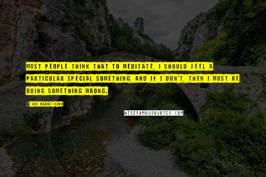 Jon Kabat-Zinn quotes: Most people think that to meditate, I should feel a particular special something, and if I don't, then I must be doing something wrong.