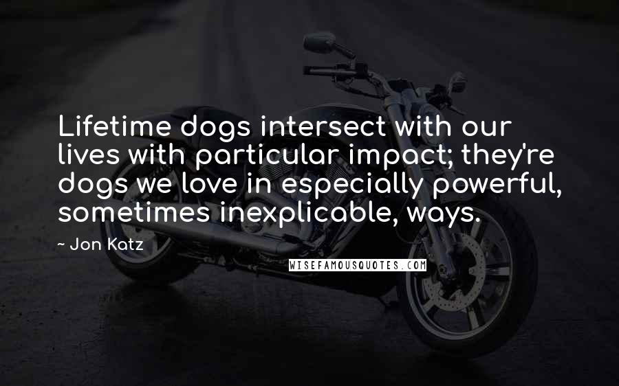 Jon Katz quotes: Lifetime dogs intersect with our lives with particular impact; they're dogs we love in especially powerful, sometimes inexplicable, ways.