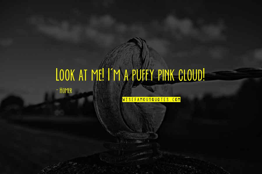 Jon North Quotes By Homer: Look at me! I'm a puffy pink cloud!