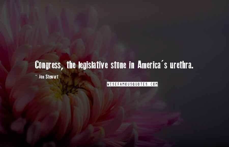 Jon Stewart quotes: Congress, the legislative stone in America's urethra.