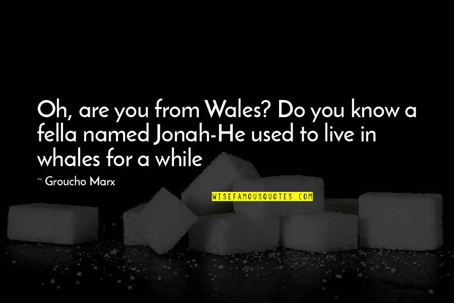 Jonah Quotes By Groucho Marx: Oh, are you from Wales? Do you know
