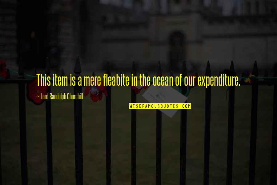 Jonard Tools Quotes By Lord Randolph Churchill: This item is a mere fleabite in the Jonard Tools Quotes By Lord Randolph Churchill: This item is a mere fleabite in the
