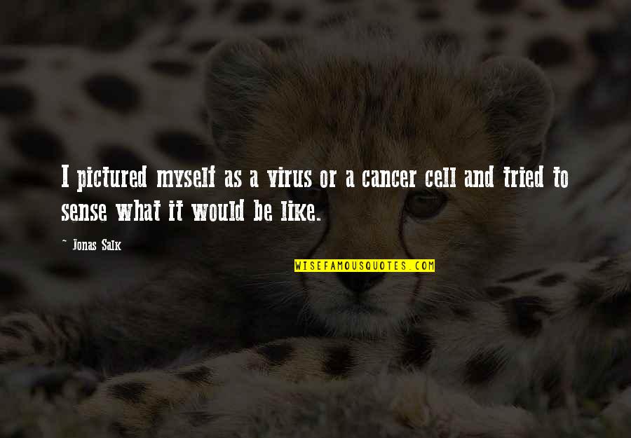 Jonas Salk Quotes By Jonas Salk: I pictured myself as a virus or a