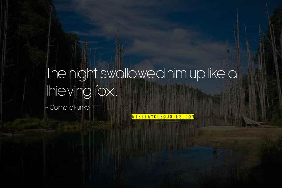 Jonatas Mendes Quotes By Cornelia Funke: The night swallowed him up like a thieving